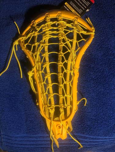 New regime Head