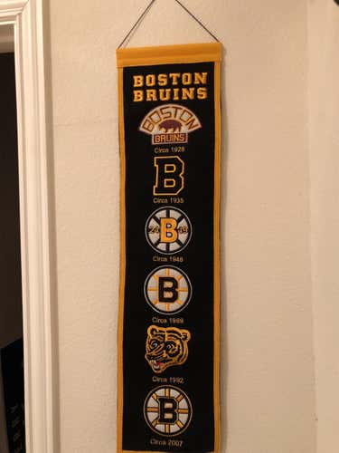 Boston Bruins Logo Banner