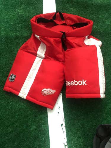 Pro Stock Red Wings Pant Need Gone