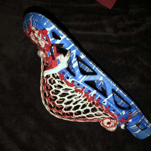 Hawk Head Dyed