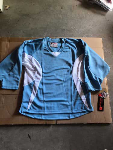 Blank Blue Game Weight Jerseys Set Of 10