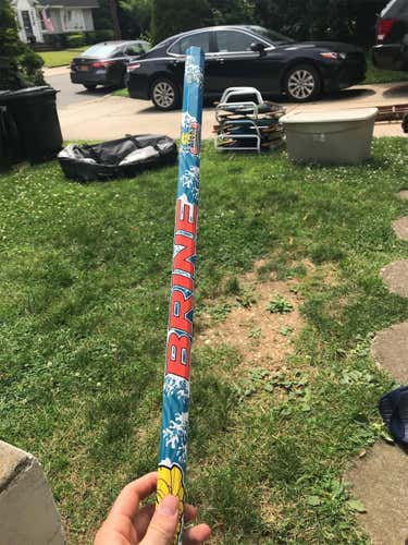 Brine Shaft And Evo 4 Head