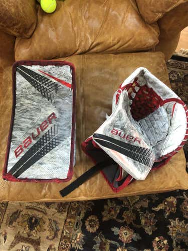 Vapor 1X Pro Goalie Glove & Blocker Regular Senior Pro Stock