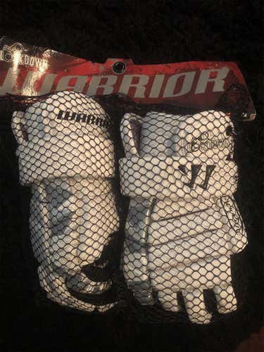 New Lockdown Goalie Gloves