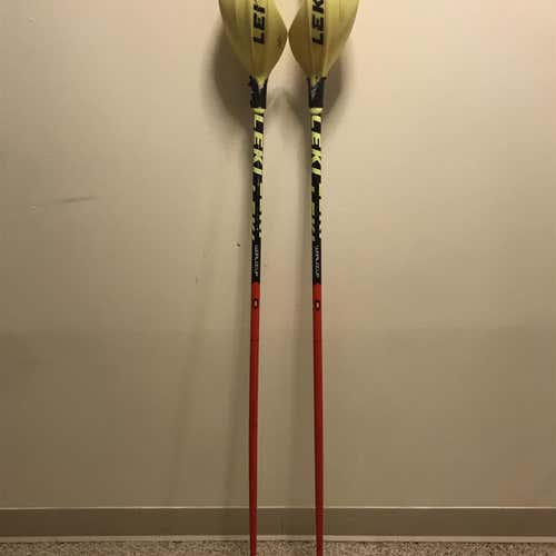 Leki Ski Poles