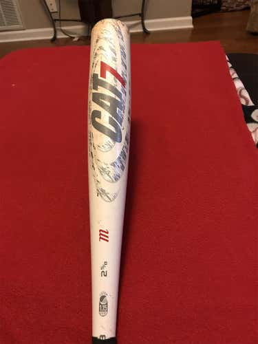 CAT 7 Bat