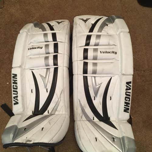 Velocity V5 Goalie Leg Pads Youth