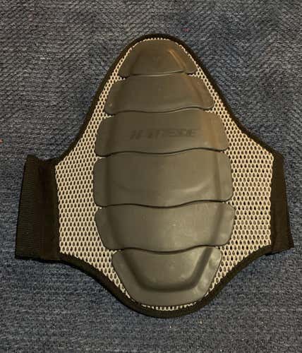 Dainese Shield Air.6 Back Plate