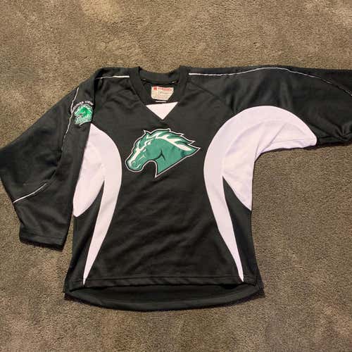 Mounds View Mustangs Hockey Jersey #6 (Adult M)