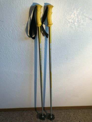 Scott Downhill Ski Poles 115 cm. / 46" Silver and Yellow