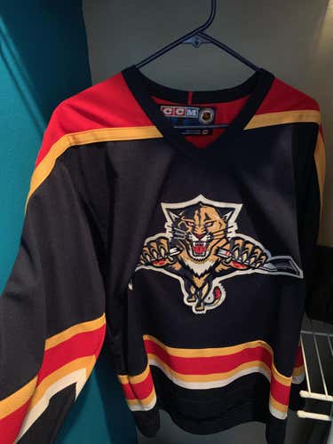 *VINTAGE* Florida Panthers Jersey; size- AS