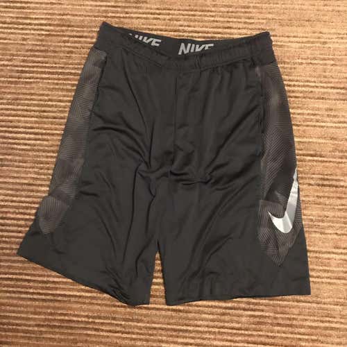 Nike Dri Fit Shorts (Large)