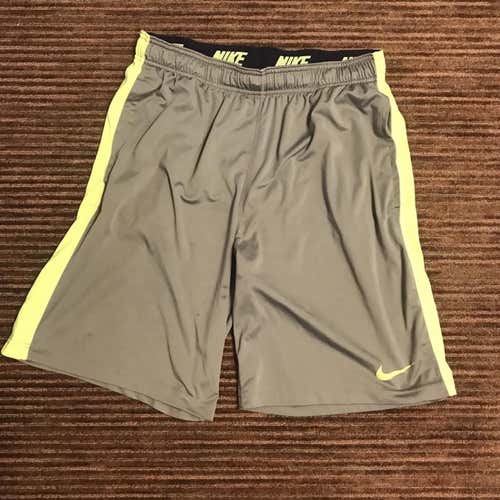 Nike Dri Fit Shorts (Large)