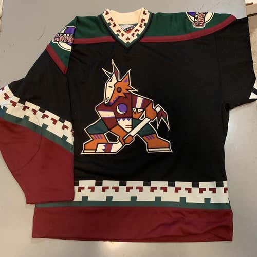 Vintage Pro Player Phoenix Coyotes Jersey Sz m