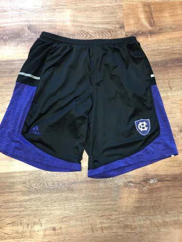Holy Cross Adidas Training Shorts