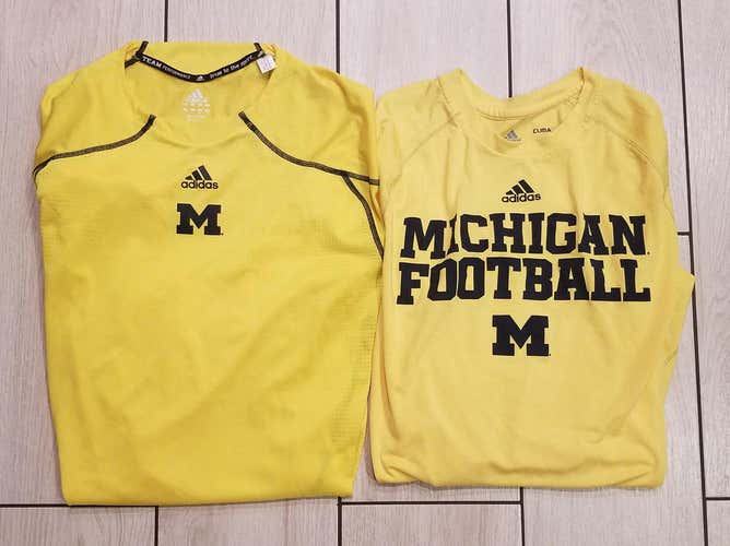 University of Michigan Adidas Nike Shirt Polo Athletic Apparel Lot Large