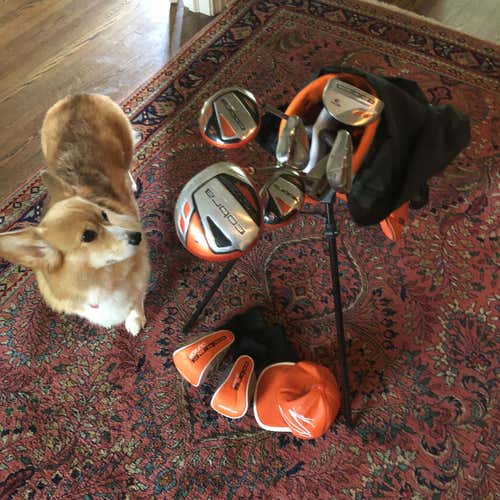 Cobra Junior Complete Golf Club Youth Set