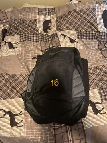 New DeMarini Bag