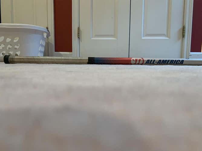 New Warrior Shaft