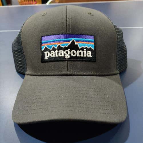 Patagonia Trucker Hat