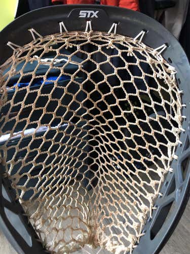 Eclipse 2 Head With Piece Of Grizzly