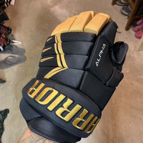 Warrior Alpha DX3 Gloves 14"