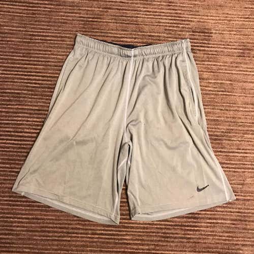 Nike Dri Fit Shorts (Large)