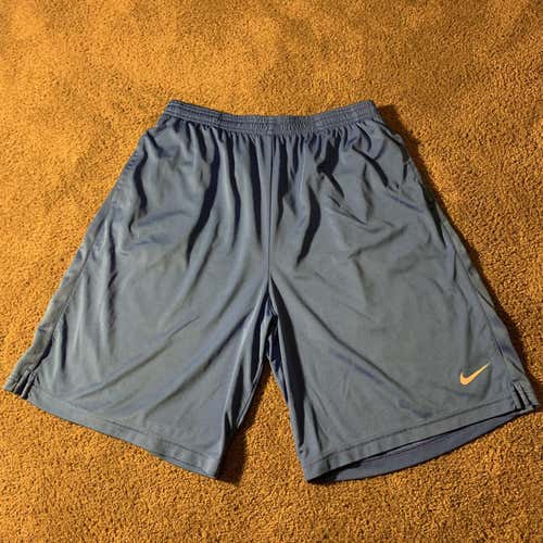Nike Dri Fit Athletic Shorts (L)