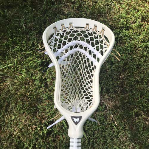 New ECD DNA / New STX Z70 OCS