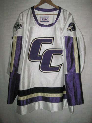 Chaska Chanhassen hockey jersey men's XXL white #19 SEWN Minnesota