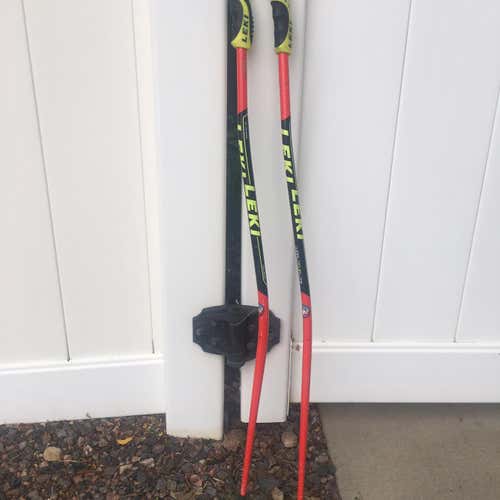 World Cup Lite GS Ski Poles