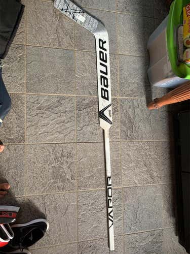 Vapor X900 Goalie Stick Regular Senior
