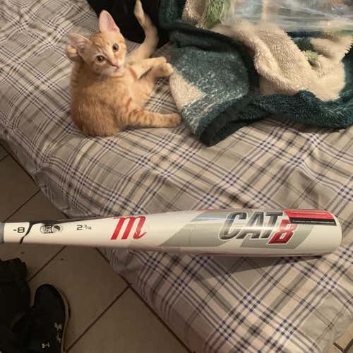 New  CAT 8 Bat