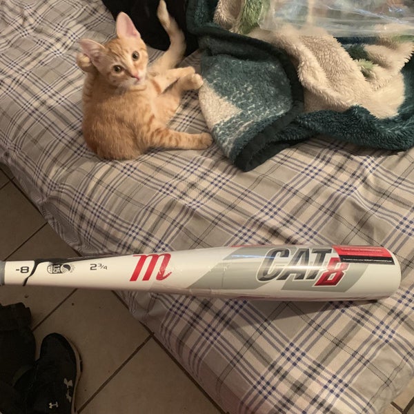 New CAT 8 Bat