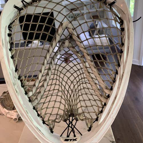 Stung STX Shield