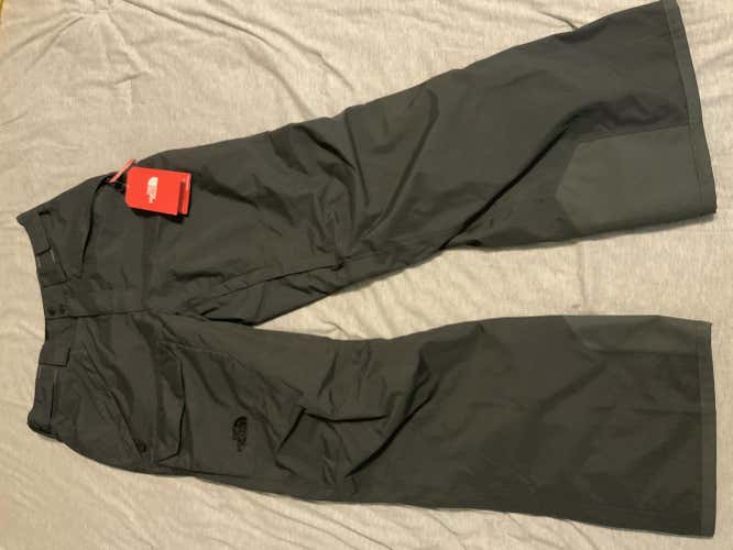 New The North Face Pants - Men’s Freedom Insulated Pants