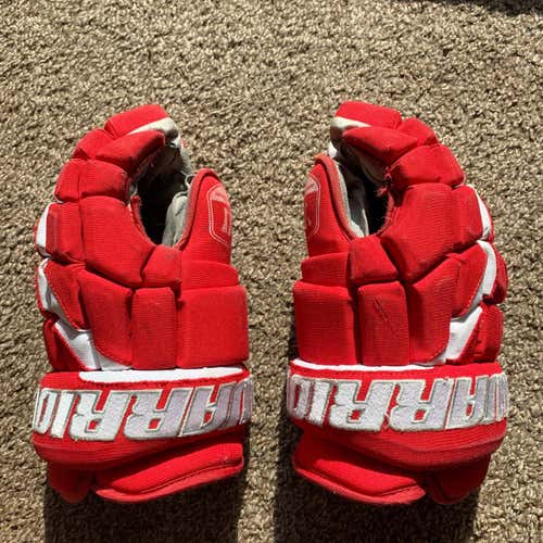 Little Caesars AAA (Red Wings) Gloves