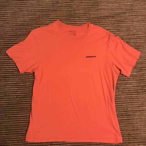 Patagonia Shirt (Large)