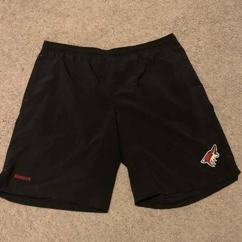 Reebok Arizona Coyotes Training Shorts Medium