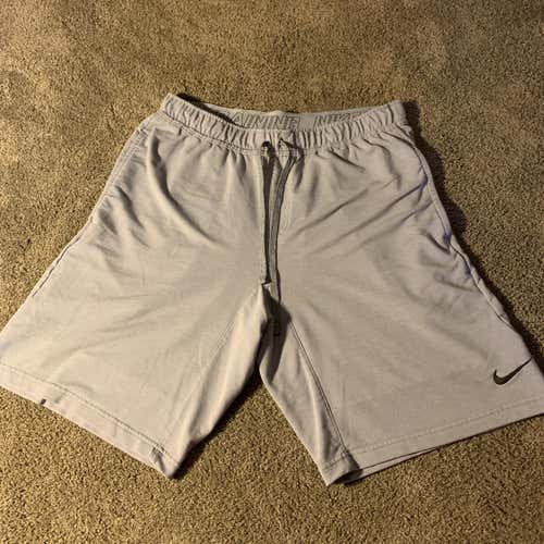 Nike Dri-Fit Training Shorts (L)