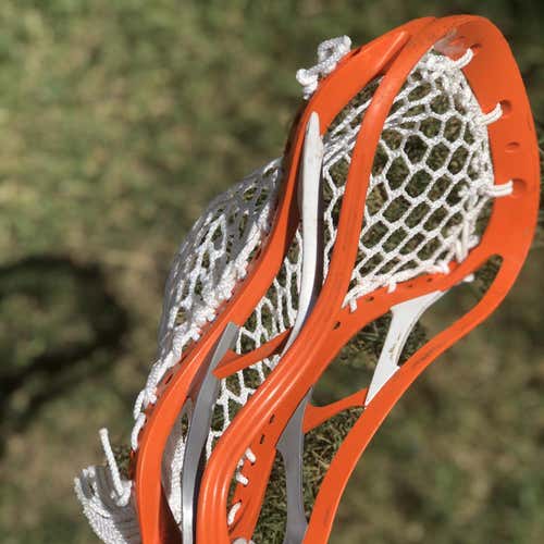 Rabil Head
