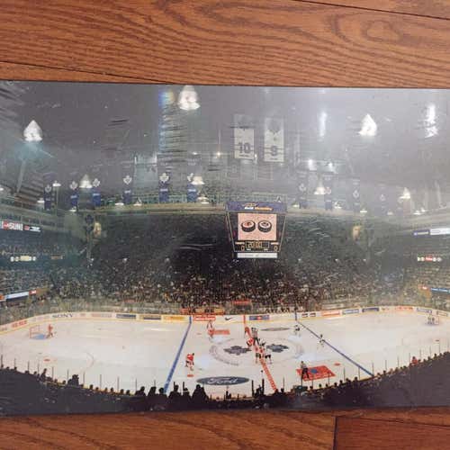 Maple Leafs Gardens Picture ** New*