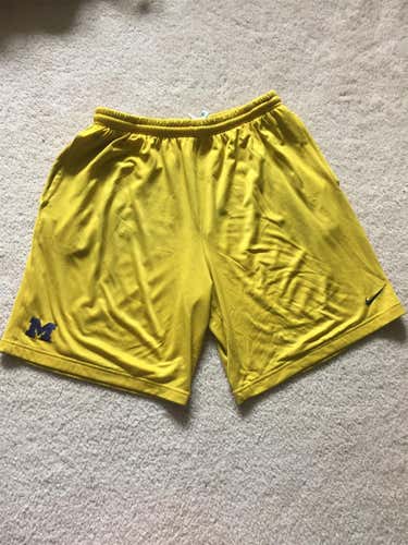Michigan Nike Shorts Adult