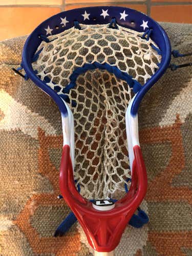 Beast 7 Head