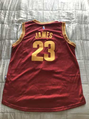 Lebron James Cleveland Cavaliers Jersey