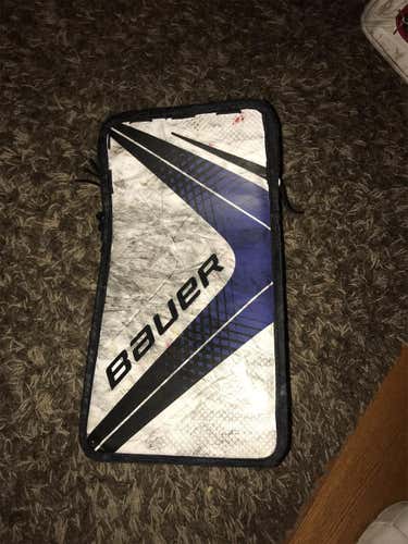 Vapor 1X Pro Goalie Glove & Blocker Regular Senior Pro Stock