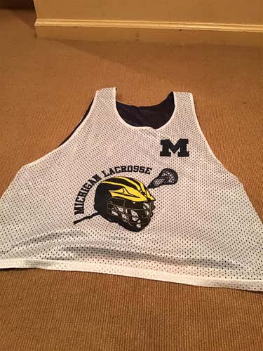 Michigan Wolverines Pinnie