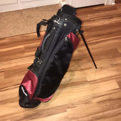 Wilson Carry Bag