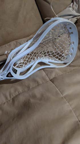 East Coast Dyes Rebel Head