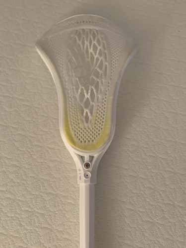 New Brine Warp Pro Dynasty Stick